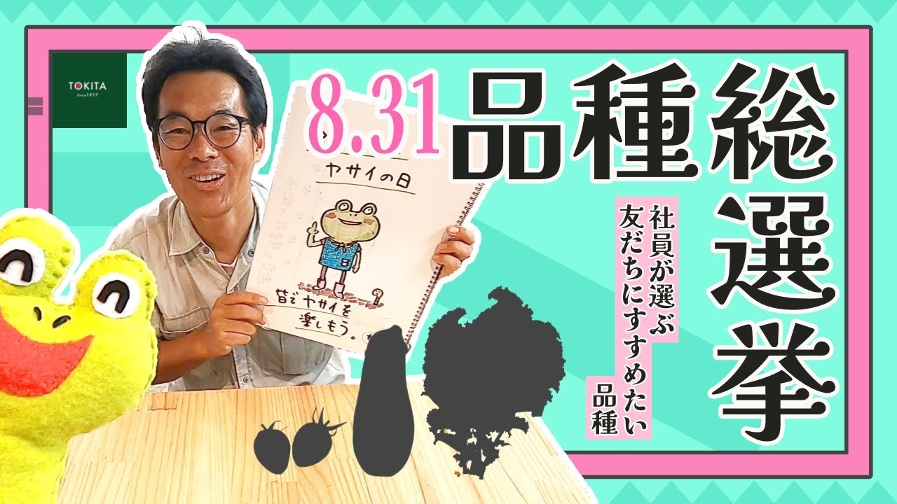 野菜 kokotan Vegetable Day] Tokita Seeds Employees Seriously Selected