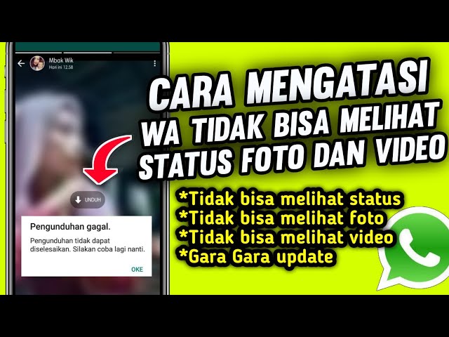 Cara mengatasi wa tidak bisa melihat status foto dan video - tidak bisa melihat status wa