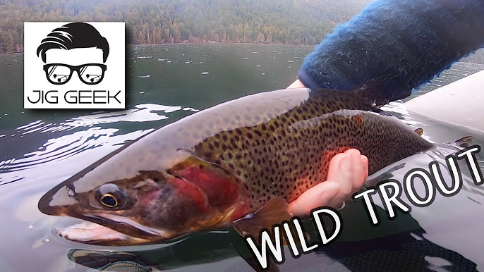 Trout on Twitch Jigs (THE BEST MOST UNDERRATED TROUT METHOD) 