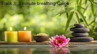 PMP: Track 3 - 3-minute Breathing Space