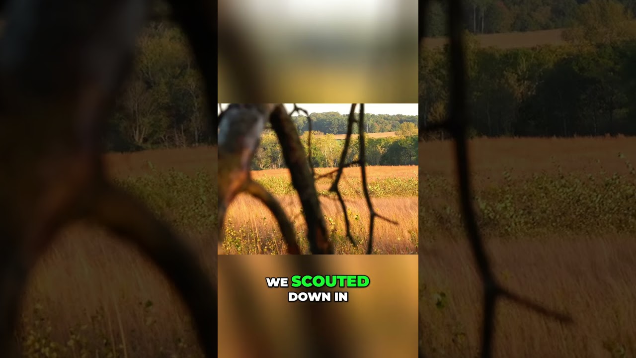 Deer Hunting Secrets: Scouting the Perfect Spot for Big Bucks! #shorts