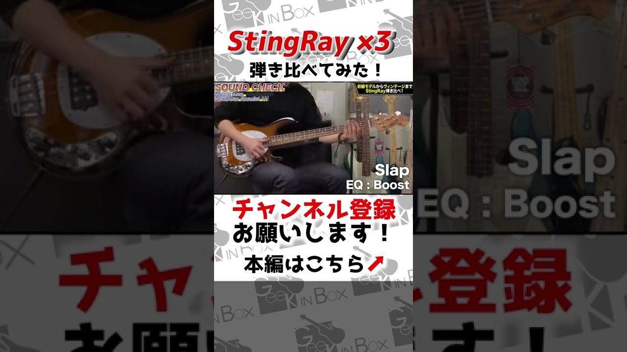 スティングレイ比較 初心者モデル vs USA vs ヴィンテージ