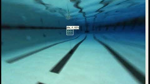 SSD Inception Neural Network