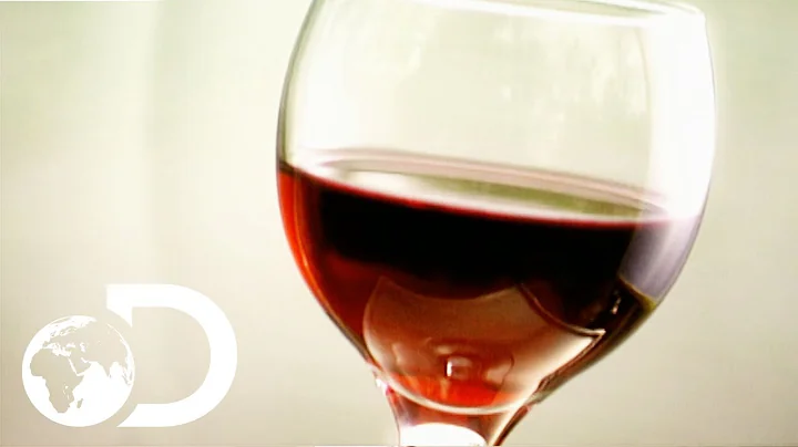 WINE | How It's Made - DayDayNews