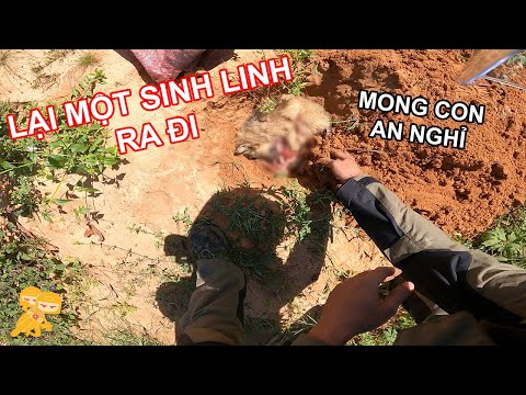 Những Tình Huống "ĐAU LÒNG" Khi Đi Phượt Bằng Xe Máy - Xe Ôm Vlog Những Tình Huống "ĐAU LÒNG" Khi Đi Phượt Bằng Xe Máy - Xe Ôm Vlog