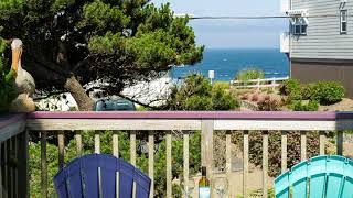 Sea Daze - Lincoln City (Oregon) - United States