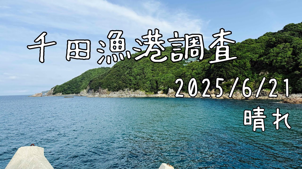 【釣り】カンパチの息子が釣れるところ