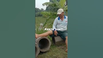Kerja bakti/gotong royong yg masih lestari di pedesaan #gotongroyong #desa