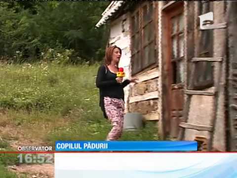 Video: Orașul Pădurii