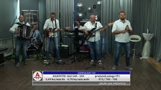 Grupa San - Ne Ide Vino Bez Harmonike Cover Bane Mojicevic