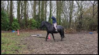 Equifeel Caval Go 26 Manche 2