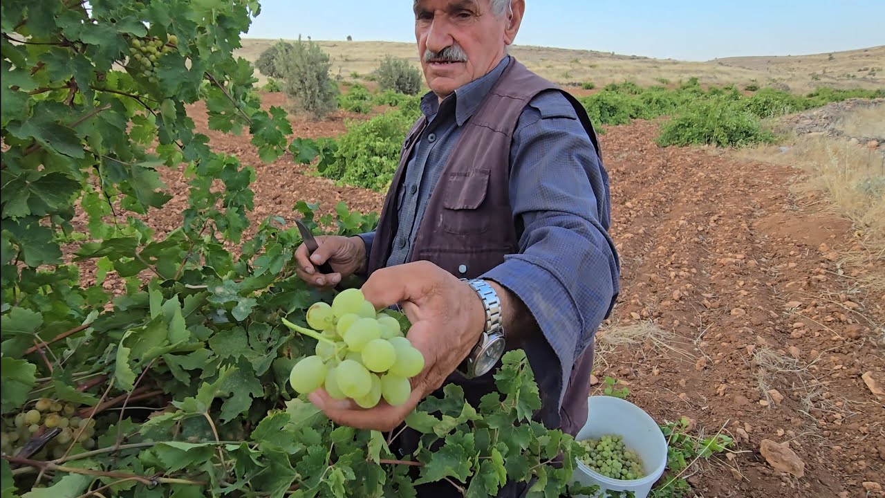 narlı köyü Bu videoda gülme garantisi var 🤣🤣