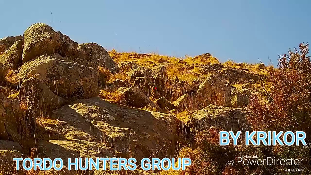 HUNTING IN LEBANON KING OF TORDO - YouTube