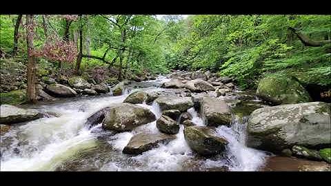 Data  Analysis: Making Sense of Data (A First Introduction to Statistics)