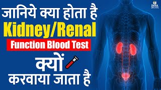 What is Kidney (Renal) Function Test | Kidney Failure Blood Test | Urea and Electrolytes Blood Test
