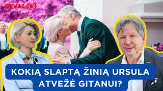 Dr. A. Kasparavičius atvirai: kokių manevrų galime sulaukti iš ES ir Lietuvos „elitų“?