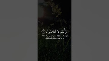 سورة النور ماهر المعيقلي