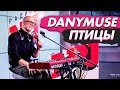 Новые ПЕСНИ: DanyMuse - Птицы на Радио ENERGY