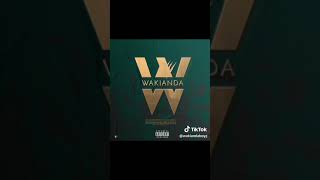 Wakaindaboyz 👊👊💪✌ song latest vagaa makondiko ❤ All Shafi 👎🖤💓 you Wakaind