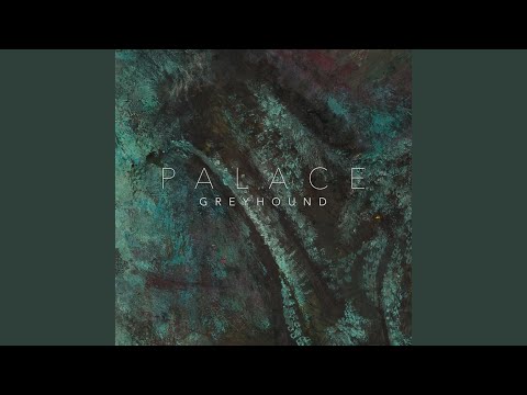 Palace - Greyhound