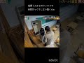 #目黒蓮 #佐野勇斗 #ドッキリ