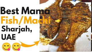 Sharjah Best Fish Fairy???? Mama Machi Walla Very unique and delicious fish fairy😋😋😋😋 we eat to much
