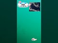 知育動画で楽しく学ぶ【水中映像】今日は魚いるかな？🐟 真鶴港の海の中🌊2026年5月