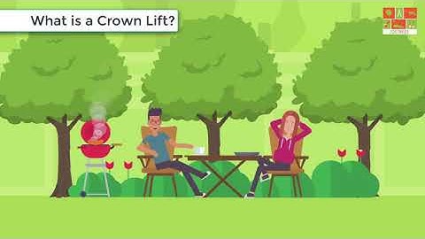 What is a tree crown lift? do you have trees on your Edinburgh property that need a crown lift?