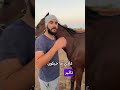 جرح في ظهر الخيل جرح الحارك 