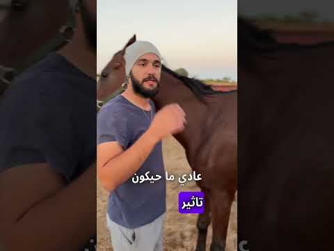 جرح في ظهر الخيل جرح الحارك