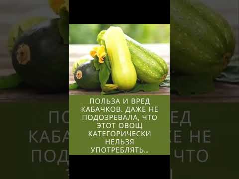 Польза и вред кабачков