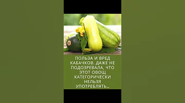 Польза и вред кабачков