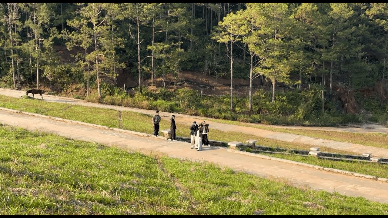 TravelVLOG: DALAT | Hành trình được chờ đợi 4 năm