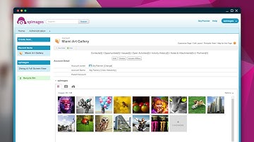 SPIMAGES: HOW-TO CONFIGURE SALEFORCE FOR "SPIMAGES" TUTORIAL