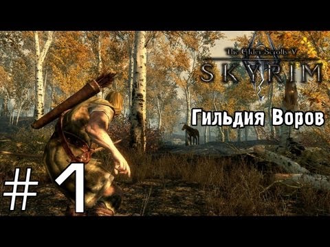 TES V: Skyrim - Гильдия Воров - Серия 1 (Прессуем!) TES V: Skyrim - Гильдия Воров - Серия 1 (Прессуем!)