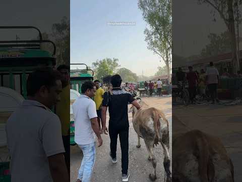 45° डिग्री की इस तपती धूप में लोगों को तरबूज का जूस पिलाकर बहुत सुकून मिला।🥹❤️🥰🙏#sukun