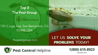 Top 3 Pest Control in Highgrove