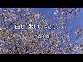 2026-5-1 白い迷い(ラビリンス)/中森明菜