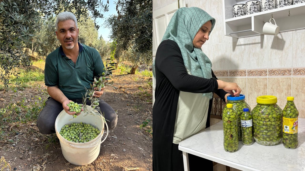 Salamura Yeşil Zeytin Yapımı~En Lezzetli Köy Yemekleri😍