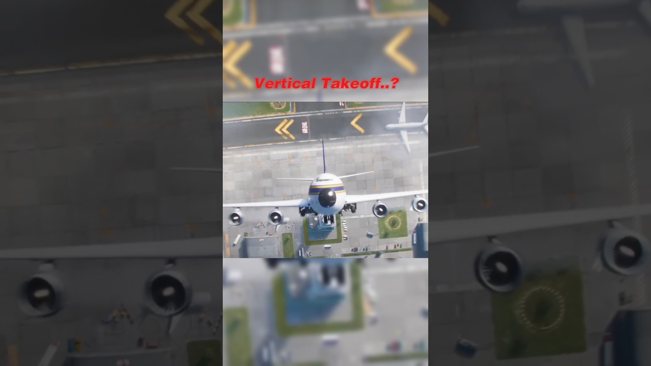 Minion is pilot ☠️ 