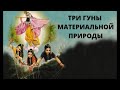 Три гуны материальной природы. Торсунов Олег Геннадьевич