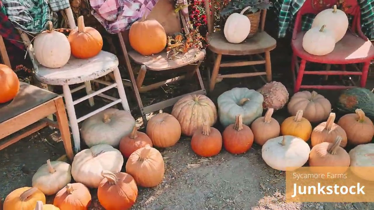Junkstock Harvest Edition 2022 - Waterloo Nebraska