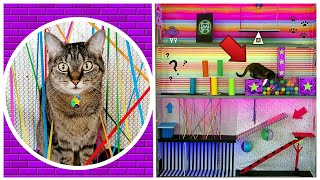 Can our cat defeat the WORLD'S HARDEST FUNHOUSE?