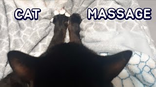 Cat and Massage by NoLi 5,544 views 3 years ago 2 minutes, 27 seconds
