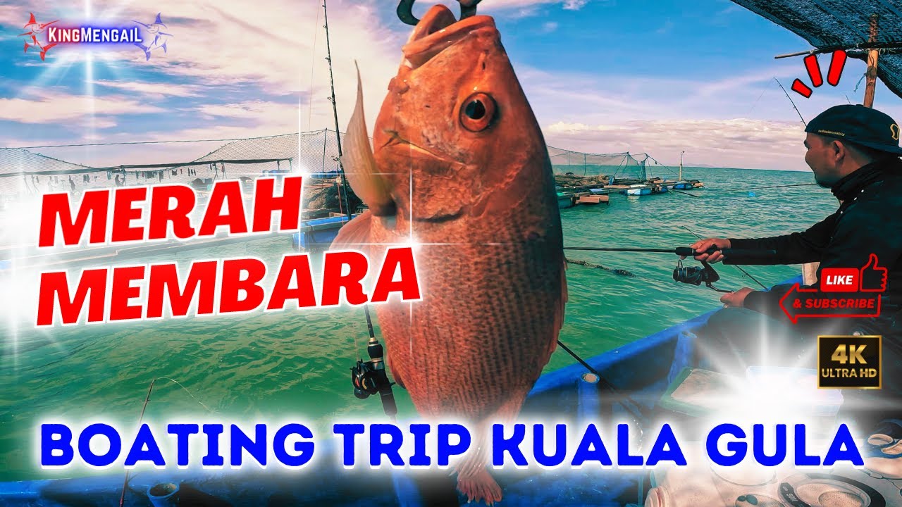 𝐃𝐀𝐏𝐀𝐓 𝐈𝐊𝐀𝐍 𝐌𝐀𝐇𝐀𝐋 𝐊𝐔𝐀𝐋𝐀 𝐆𝐔𝐋𝐀 | 𝐌𝐄𝐑𝐀𝐇 𝐆𝐑𝐄𝐃 𝐀