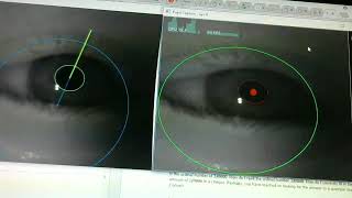 Eye Tracking Algorithm Comparison - Pupil Labs and 3D Model