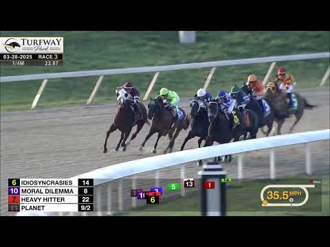 Turfway Park Report 3/28/2025 - video from Turfway