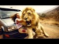 When Animals Go On A Rampage! Interesting Animal Moments CAUGHT ON CAMERA | Animal Fights