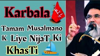 karbala | ustad e muhtaram Syed jawad naqvi|