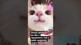 suscribe #humor nse dale like y comentarios soy principiante 😭 🥹